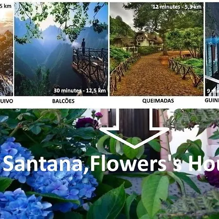 Santana, Flowers's House *