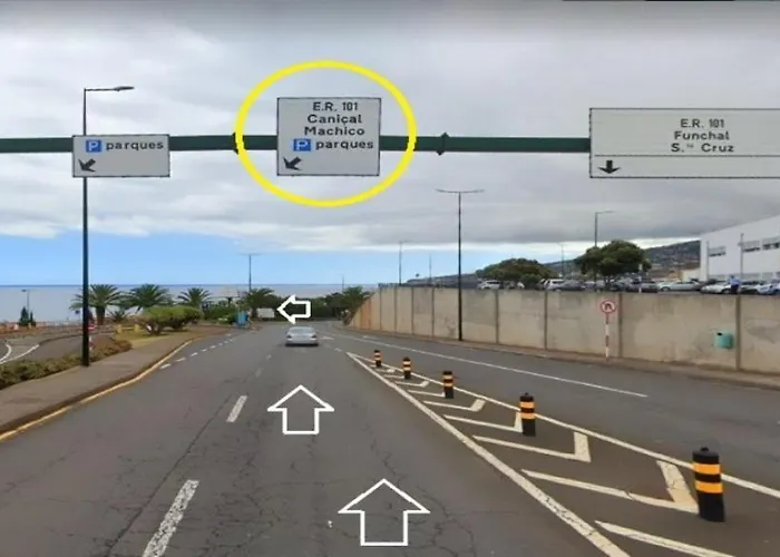 Horská chata Santana, Flowers's House