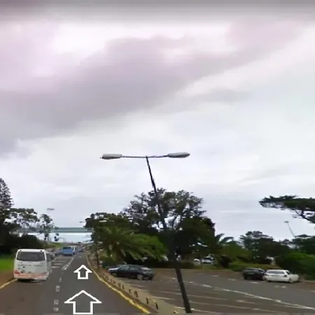 Santana, Flowers's House